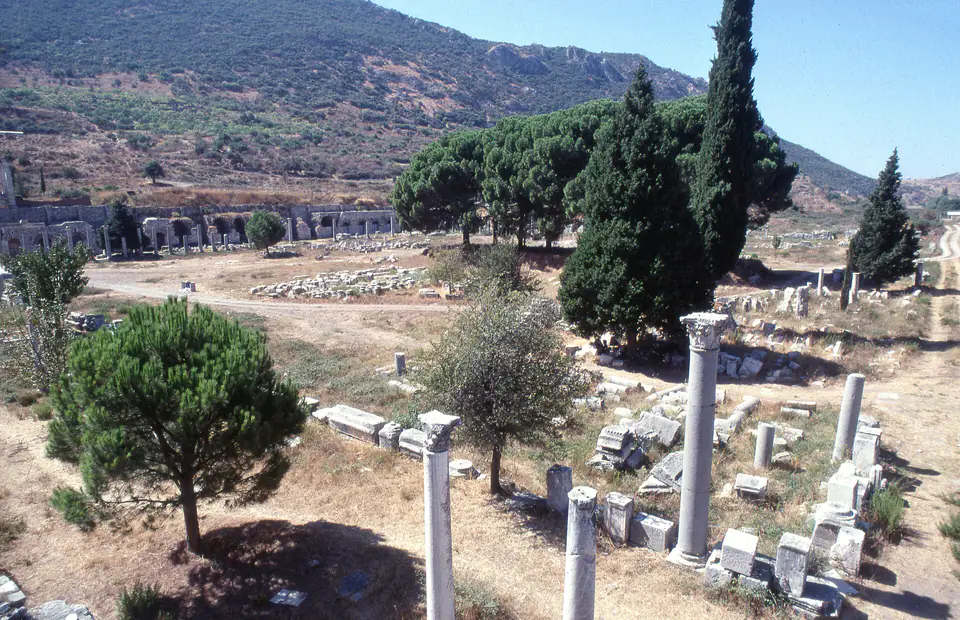 The Commercial Agora seen from above, with scattered columns, a tall cypress and wooded slopes
